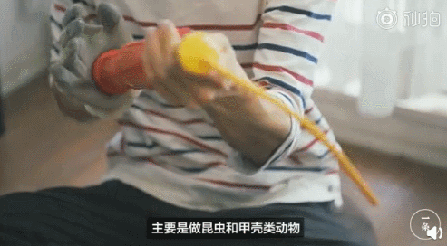 岛国大神将气球玩出了新高度!网友直呼:想要! 第11张 岛国大神将气球玩出了新高度!网友直呼:想要! 第11张