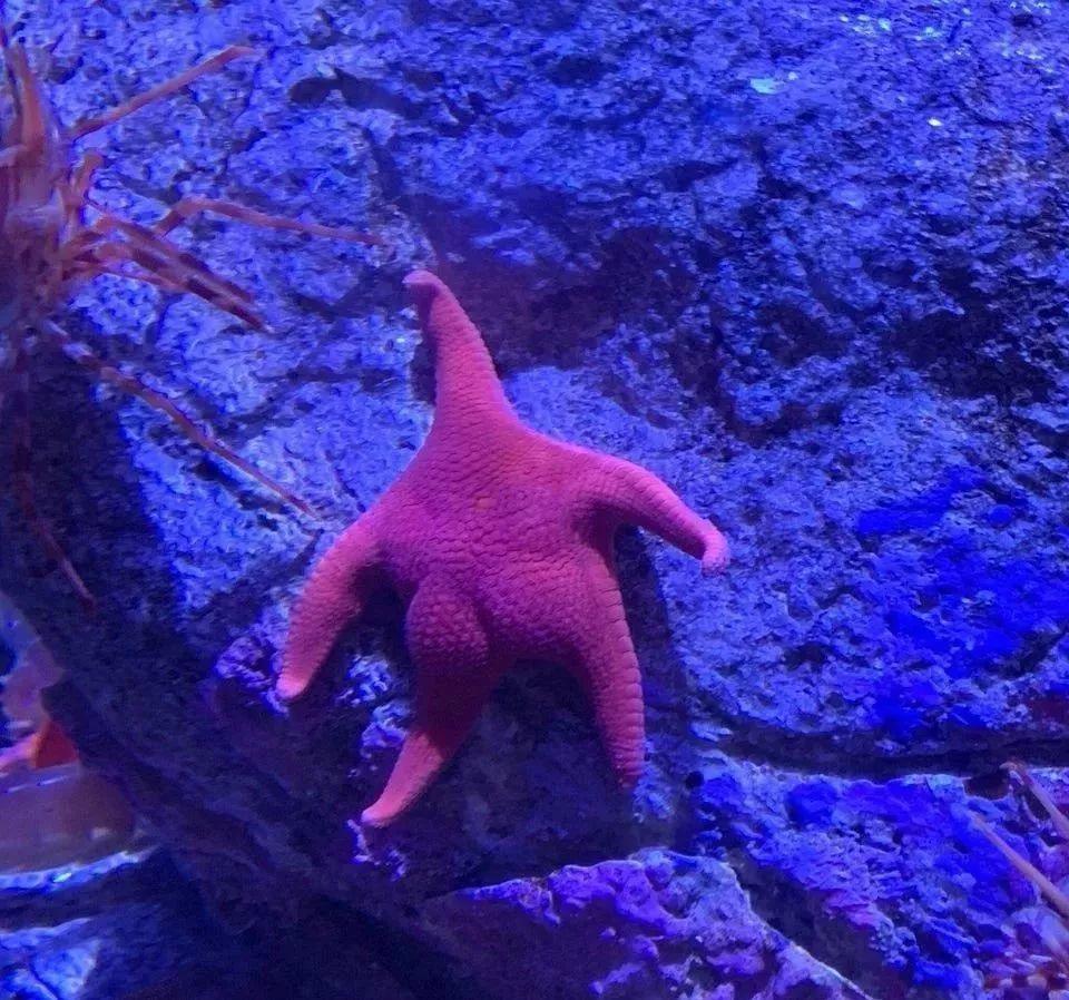 不要随便发照片让网友帮你P图!!否则......... 第6张 不要随便发照片让网友帮你P图!!否则......... 第6张