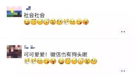 微信新增十款表情,这次狗头安排上了!! 第10张 微信新增十款表情,这次狗头安排上了!! 第10张