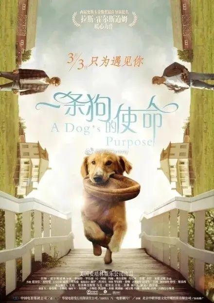 低配电影海报大赛火了!炸出一堆设计鬼才! 第58张 低配电影海报大赛火了!炸出一堆设计鬼才! 第58张
