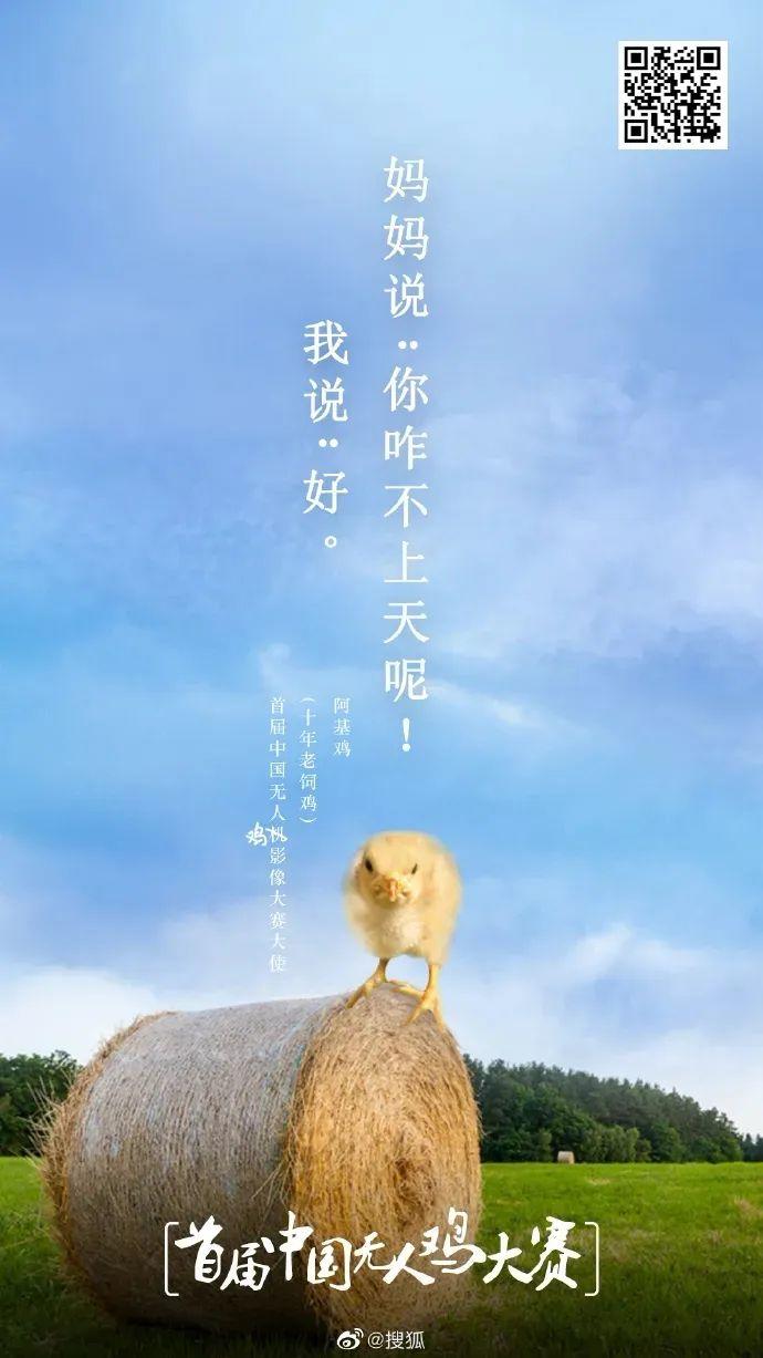 小度小度愚人节5分钱借势!刷屏了! 第19张 小度小度愚人节5分钱借势!刷屏了! 第19张