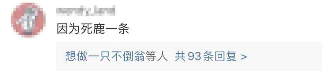 LOGO设计看风水,小心“鹿”死谁手! 第2张 LOGO设计看风水,小心“鹿”死谁手! 第2张
