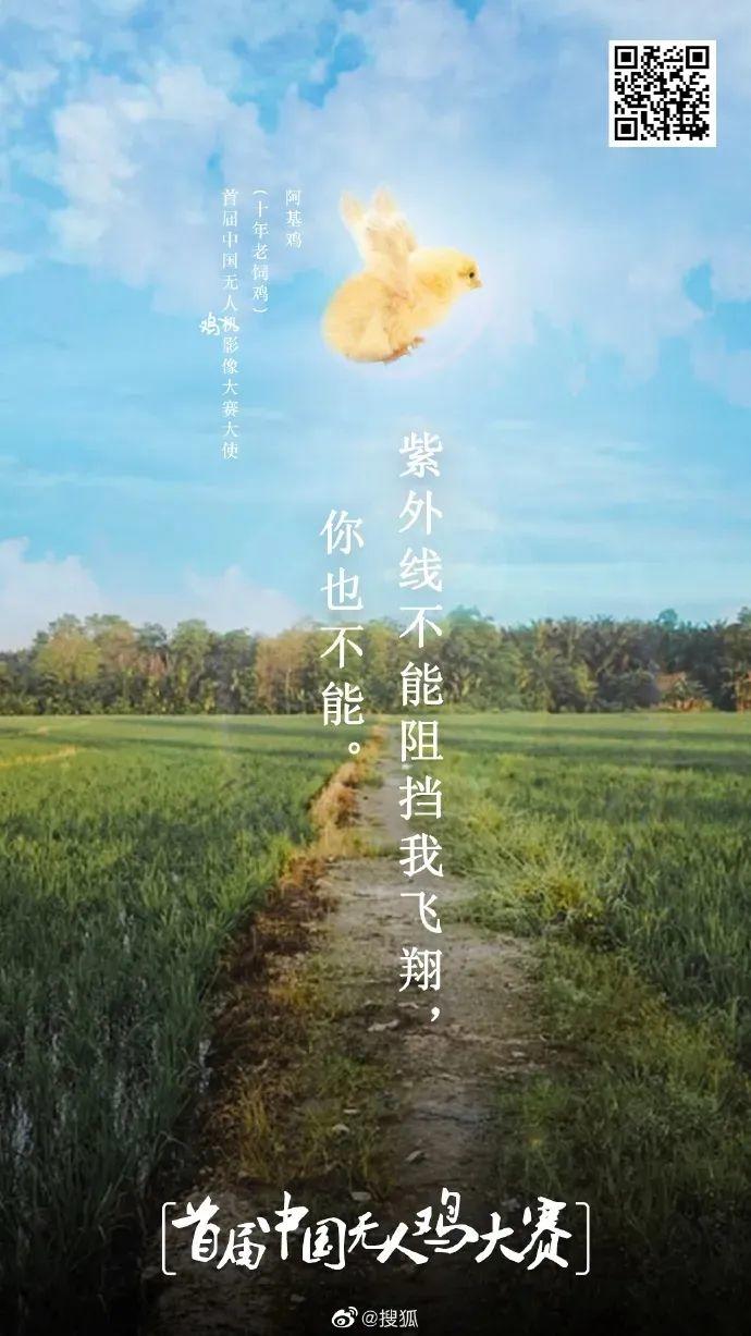 小度小度愚人节5分钱借势!刷屏了! 第21张 小度小度愚人节5分钱借势!刷屏了! 第21张